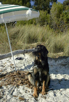Patty au bord de la mditrrane